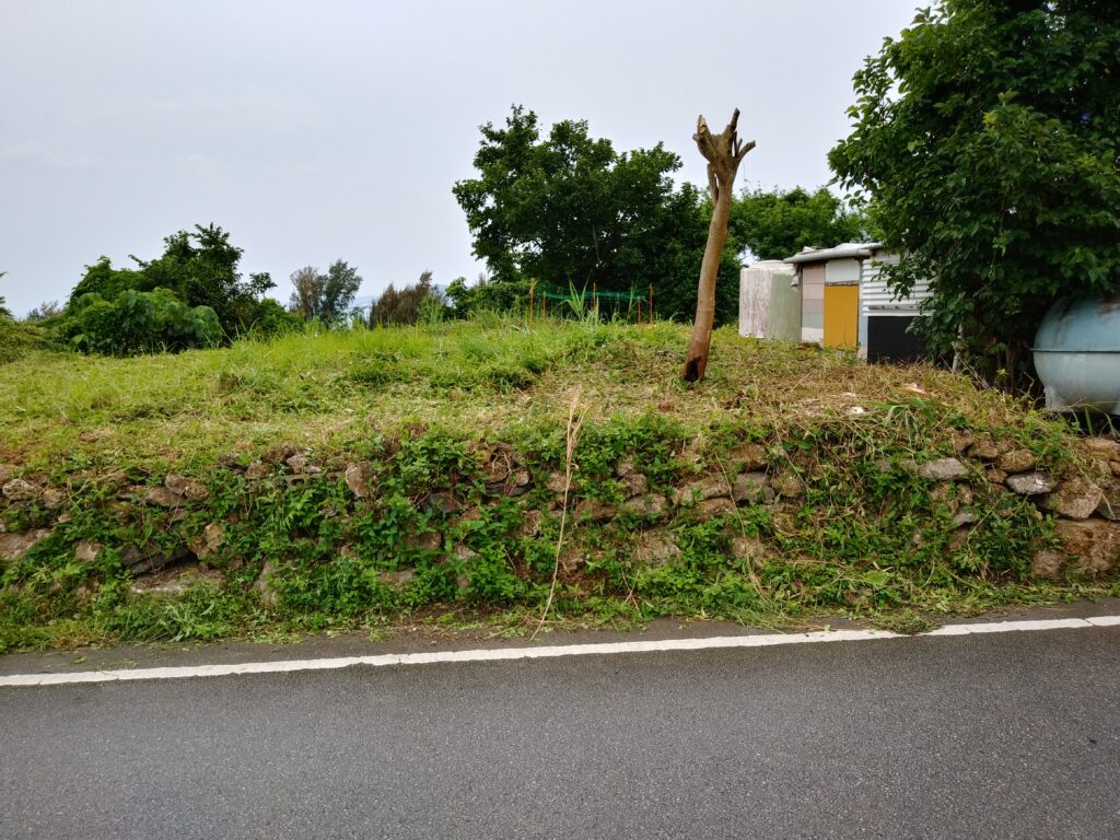 勝連南風原の圃場