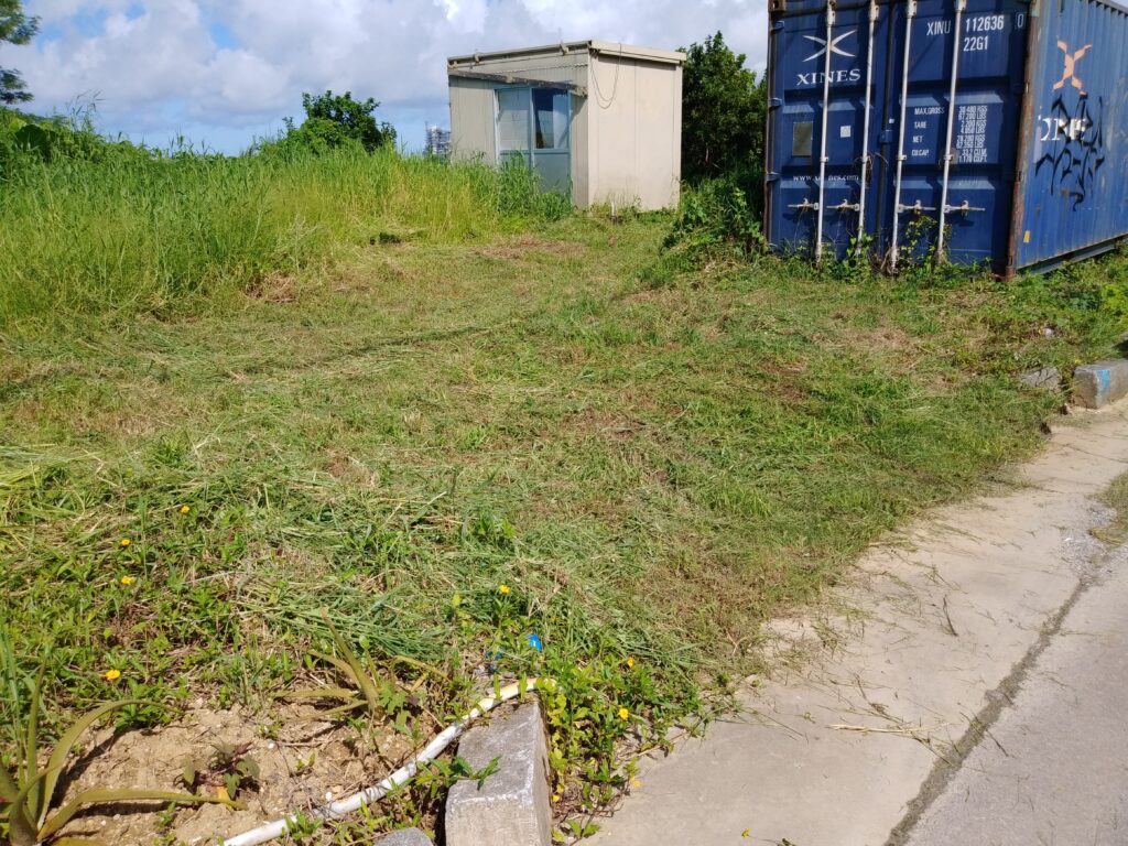 梅雨が明けて