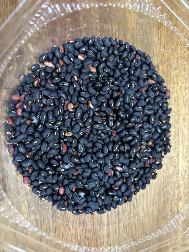 黒小豆
