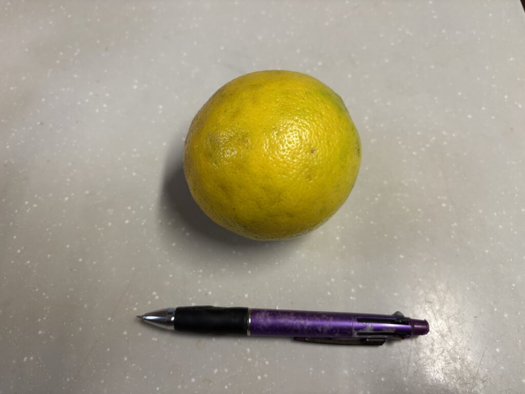 マイヤーレモン