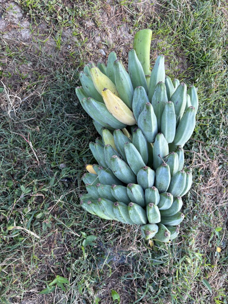 そのままの方が