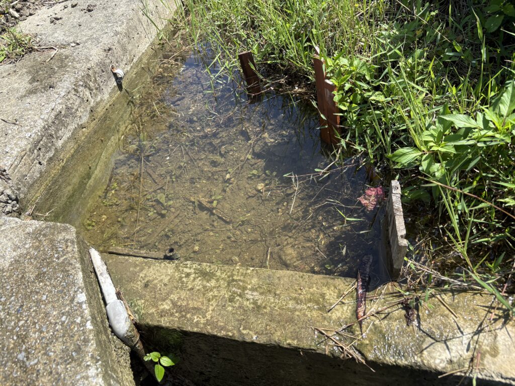 復活ー続くかな