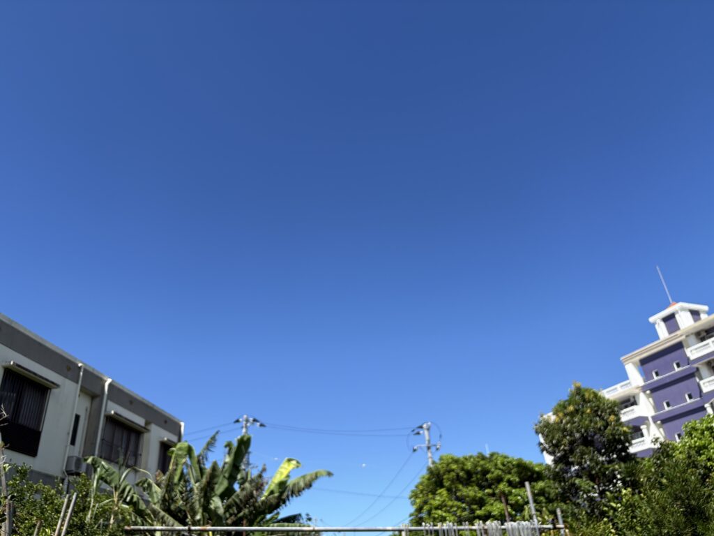 偏り