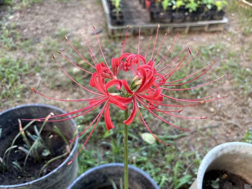 少し過ごしやすく