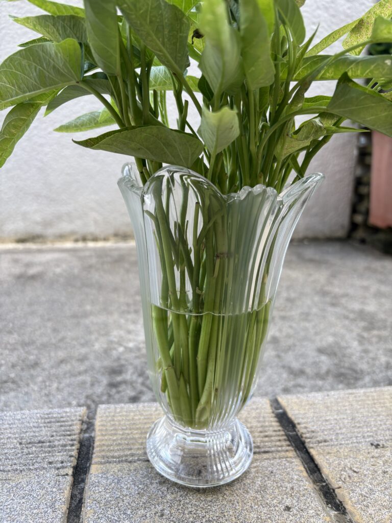 根だし