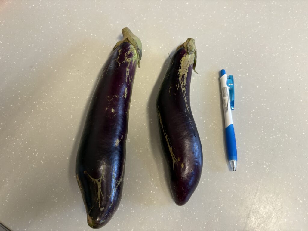 涼しくなった